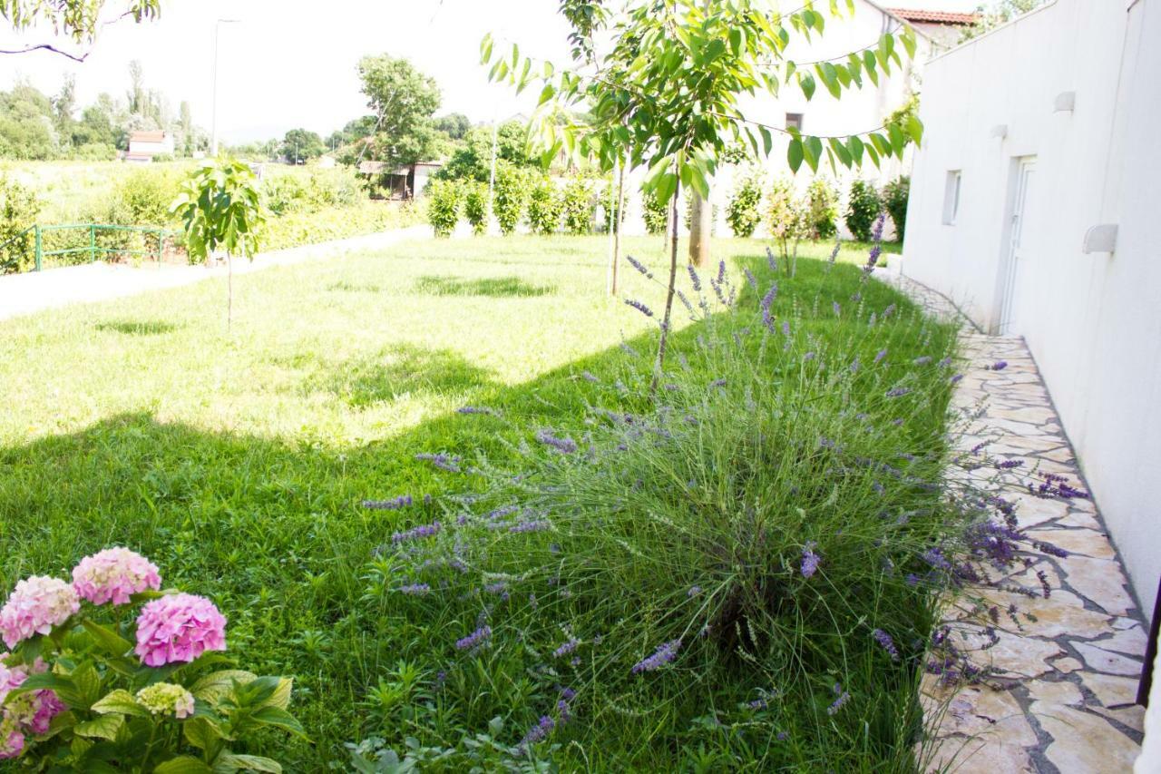 Villa Fig Zmijavci エクステリア 写真